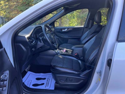 2024 Ford Escape Hybrid ST-Line Select