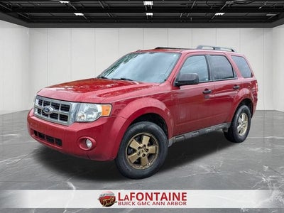 2010 Ford Escape XLT