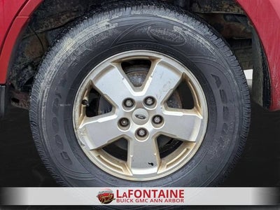 2010 Ford Escape XLT
