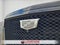 2023 Cadillac Escalade 4WD Sport Platinum