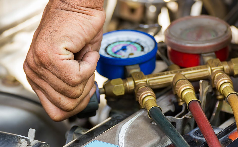 Late Ownership Special